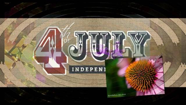 A sad and wet july-4th 2016 A sad and wet july-4th 2016