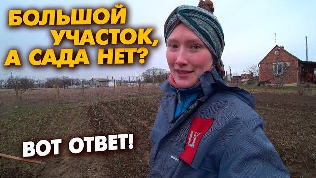 32 ч. дом на юге. какие плодовые деревья есть у нас? жить на море - значит отдыхать круглый год 32 ч. дом на юге. какие плодовые деревья есть у нас? жить на море - значит отдыхать круглый год