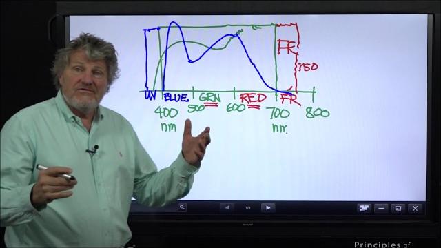 Photobiology simplified with dr bruce bugbee Photobiology simplified with dr bruce bugbee
