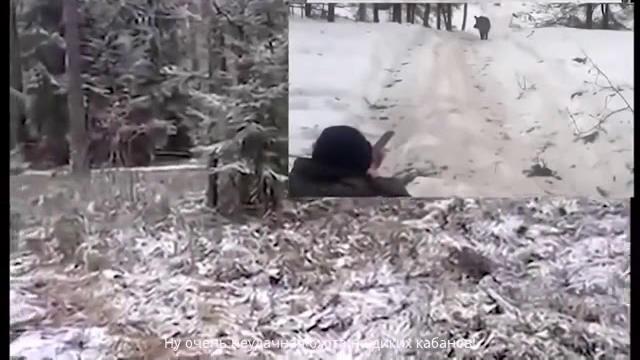 Приколы на охоте на кабана Приколы на охоте на кабана