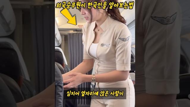 외국승무원이 공개하는 한국승객 특징 외국승무원이 공개하는 한국승객 특징