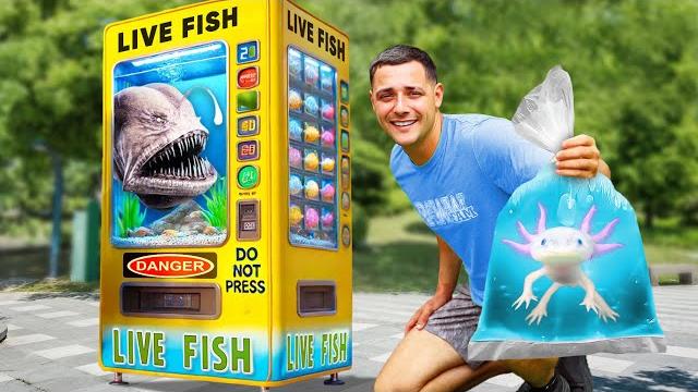 I found a live fish vending machine... I found a live fish vending machine...