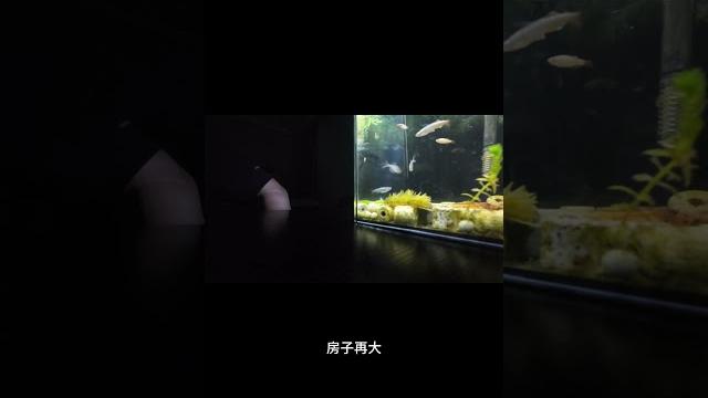 生活的本真 佚名 生活的本真 佚名