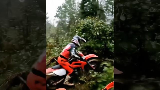 Леха в кустах #эндуро #enduro #приколы #veo3 Леха в кустах #эндуро #enduro #приколы #veo3