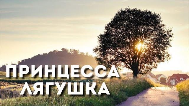 Принцесса-лягушка - все серии. мелодрама (2018) Принцесса-лягушка - все серии. мелодрама (2018)