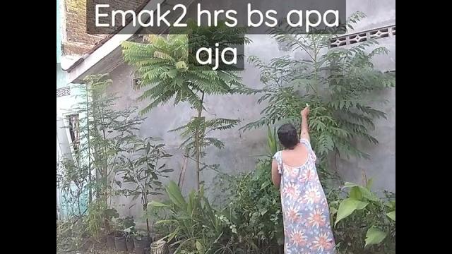 Emak berdaster beraksi Emak berdaster beraksi