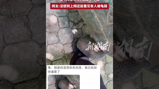 网友:被400多斤的龟踩了一脚… 网友:被400多斤的龟踩了一脚…