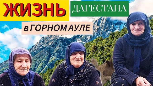 Жизнь в горном ауле дагестана | деревня россии в наши дни. #тлярата #дагестан #аул #деревня Жизнь в горном ауле дагестана | деревня россии в наши дни. #тлярата #дагестан #аул #деревня