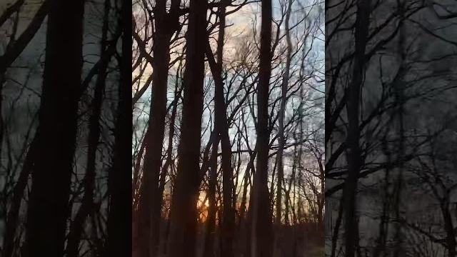Twilight & evening bell, after that the dark #twilight #virginia #shorts #trending #youtubeshorts Twilight & evening bell, after that the dark #twilight #virginia #shorts #trending #youtubeshorts