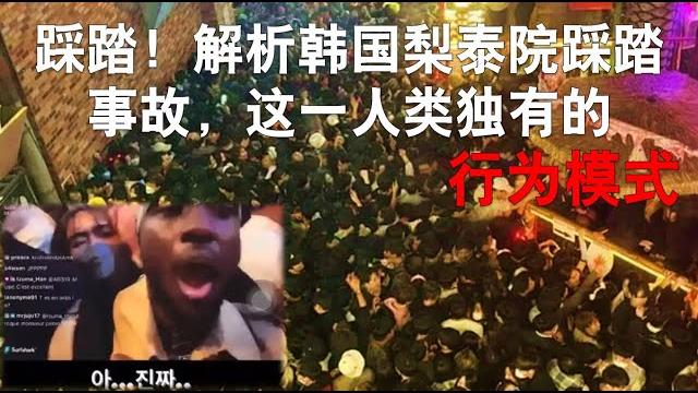 踩踏!解析韩国梨泰院踩踏事故,这一人类独有的行为模式 踩踏!解析韩国梨泰院踩踏事故,这一人类独有的行为模式