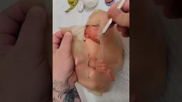 Womb - how babies are born Womb - how babies are born