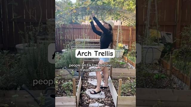 I love my mini arch trellis🪴#gardendiy #diy #trellis I love my mini arch trellis🪴#gardendiy #diy #trellis