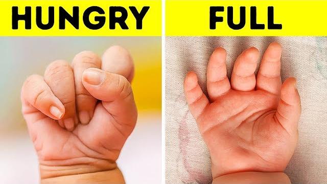 18 important things babies are trying to tell you 18 important things babies are trying to tell you