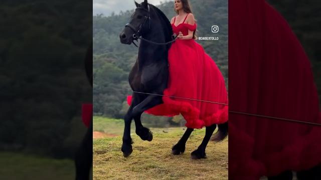 Horse vs girl #trend #rek #top #reels #horse #kottabollar #trollface #automobile #zapal #qizlar Horse vs girl #trend #rek #top #reels #horse #kottabollar #trollface #automobile #zapal #qizlar