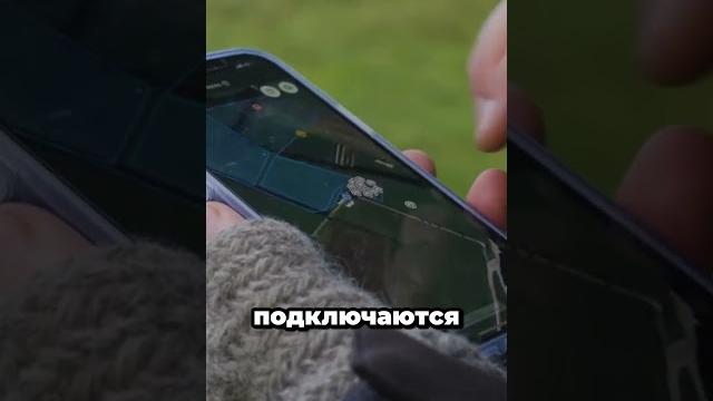 Пасти животных из дома? реальность! #факты #животные Пасти животных из дома? реальность! #факты #животные