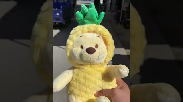 菠萝噗噗 菠萝噗噗