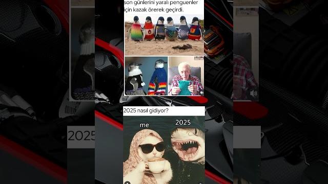Yengem geliyormuş? Yengem geliyormuş?