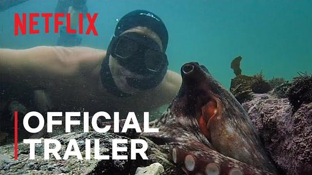My octopus teacher | official trailer | netflix My octopus teacher | official trailer | netflix