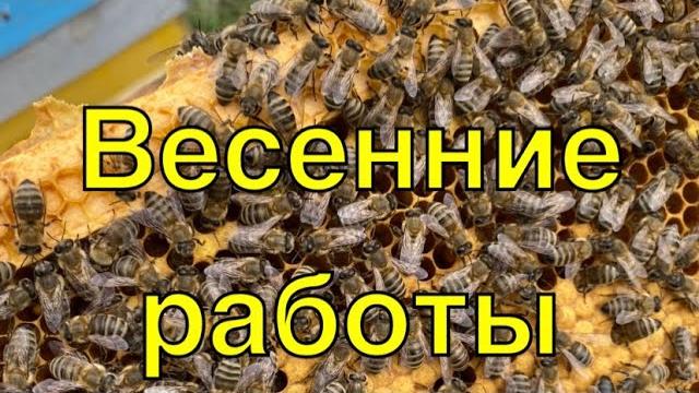 О разном! вторая весенняя работа!!! О разном! вторая весенняя работа!!!