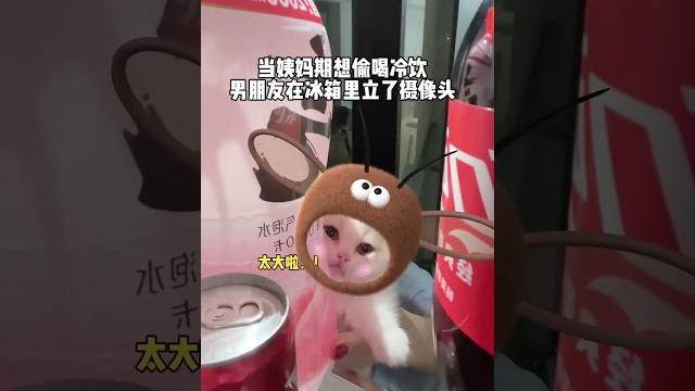 【#皮咔丘是只喵】没睡醒 猫螂进我家冰箱偷喝冷饮了 #萌宠版螂的诱惑 #萌宠版纯情螂火辣辣 【#皮咔丘是只喵】没睡醒 猫螂进我家冰箱偷喝冷饮了 #萌宠版螂的诱惑 #萌宠版纯情螂火辣辣