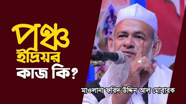 পঞ্চ ইন্দ্রিয়র কাজ | maulana forid uddin al mubarak waz | মাওলানা ফরিদ উদ্দিন আল মোবারক | bangla waz পঞ্চ ইন্দ্রিয়র কাজ | maulana forid uddin al mubarak waz | মাওলানা ফরিদ উদ্দিন আল মোবারক | bangla waz