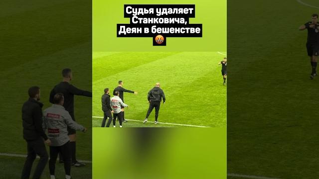 Судья удаляет станковича, деян в бешенстве#футбол #кубокроссии #спартак #ростов #shorts #станкович Судья удаляет станковича, деян в бешенстве#футбол #кубокроссии #спартак #ростов #shorts #станкович
