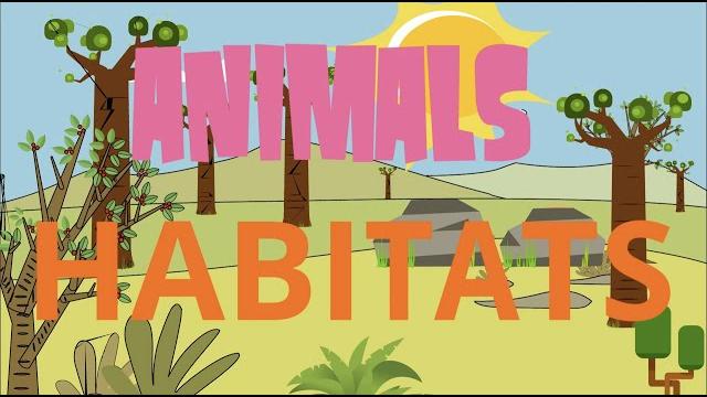 Animals habitats! Animals habitats!