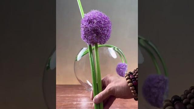 绿叶高茎球状蕤,数千碎朵缀妍姿。 绿叶高茎球状蕤,数千碎朵缀妍姿。