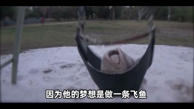 当宠物失恋跳进了马桶,第一视角带你一起搞笑抢救! 当宠物失恋跳进了马桶,第一视角带你一起搞笑抢救!