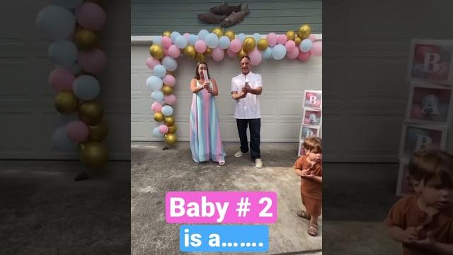 Gender reveal • gender reveal party • gender reveal show • boy or girl • baby reveal • baby gender Gender reveal • gender reveal party • gender reveal show • boy or girl • baby reveal • baby gender