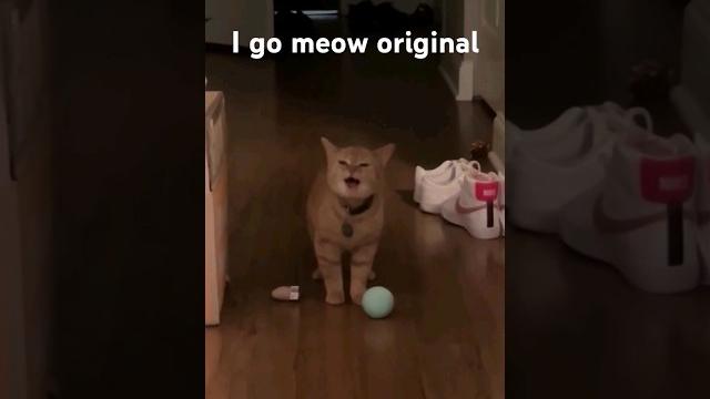 Original i go meow #cala #igomeow #ripcala Original i go meow #cala #igomeow #ripcala