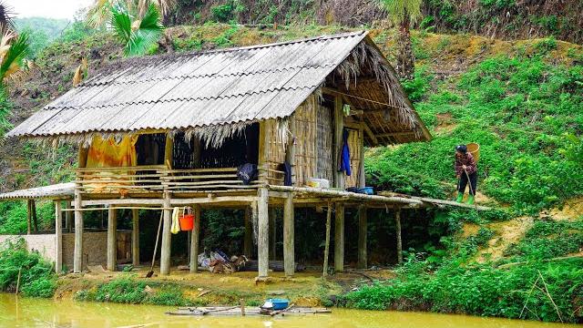 On the way to pick bamboo shoots, ly tu linh suddenly discovered a house in the forest?. On the way to pick bamboo shoots, ly tu linh suddenly discovered a house in the forest?.