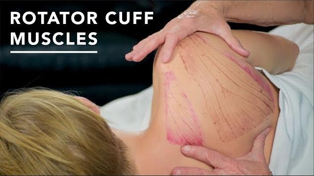 How to treat frozen shoulder: massage video How to treat frozen shoulder: massage video