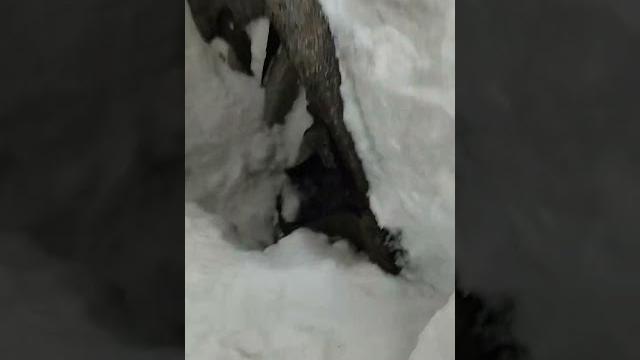 Тайная база Тайная база