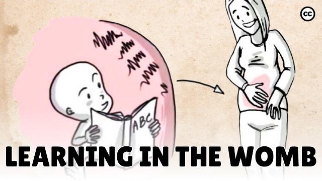 Prenatal development: what babies learn in the womb Prenatal development: what babies learn in the womb