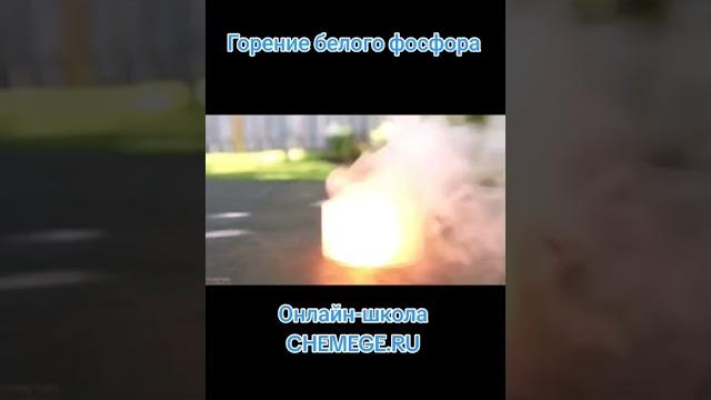 Горение белого фосфора. угадайте продукт реакции? #химияегэ #егэ #фосфор #горение #chemistry Горение белого фосфора. угадайте продукт реакции? #химияегэ #егэ #фосфор #горение #chemistry