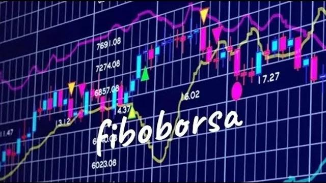 Fi̇boborsa abonelere özel Fi̇boborsa abonelere özel