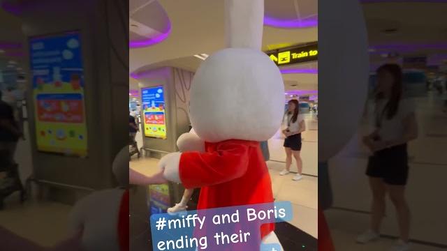 #miffy and boris #miffy and boris