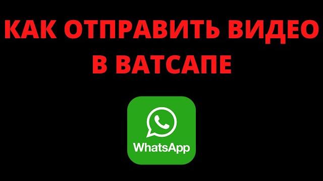 Как отправить видео в ватсапе Как отправить видео в ватсапе
