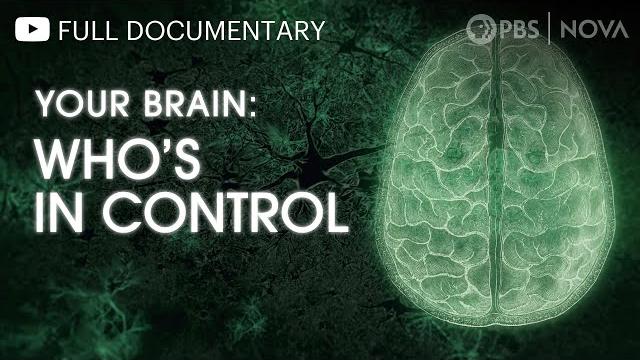 Your brain: who's in control? | full documentary | nova | pbs Your brain: who's in control? | full documentary | nova | pbs