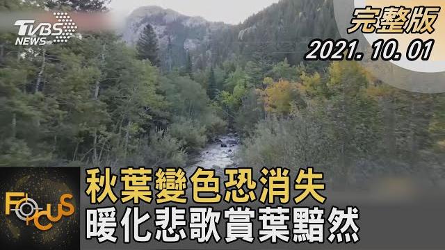 秋葉變色恐消失 暖化悲歌賞葉黯然|方念華|focus全球新聞 20211001 秋葉變色恐消失 暖化悲歌賞葉黯然|方念華|focus全球新聞 20211001
