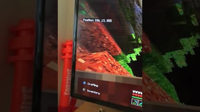 This looks sick sheep smp This looks sick sheep smp