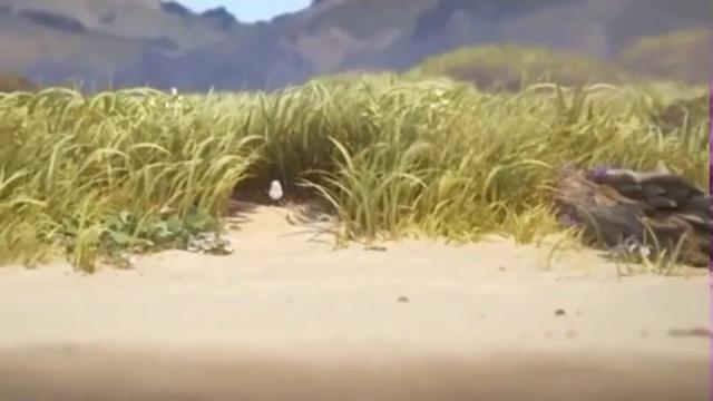 Piper pixar short film 2016 full Piper pixar short film 2016 full