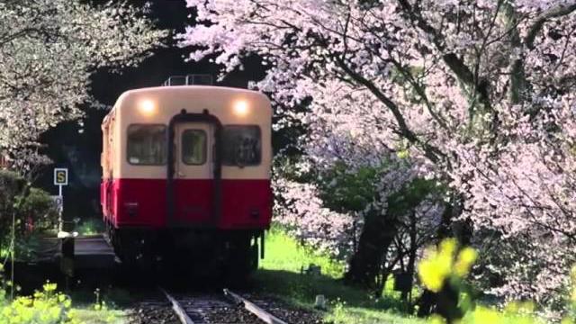 Yumi matsutoya - haru yo koi : kreygasm right version Yumi matsutoya - haru yo koi : kreygasm right version