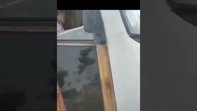 Bus painted with porn hub star | ft brazzers Bus painted with porn hub star | ft brazzers