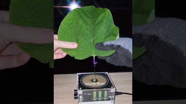 Music tesla coil #experiment #leaf #shorts Music tesla coil #experiment #leaf #shorts