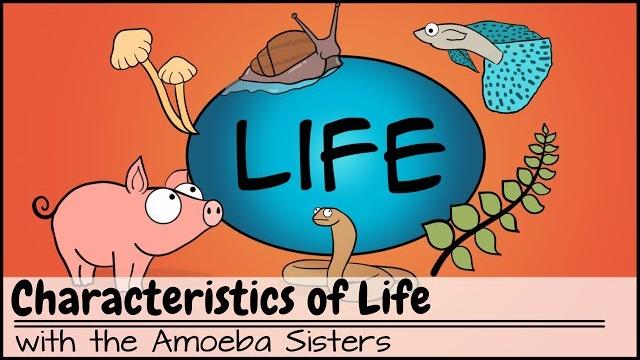 Characteristics of life Characteristics of life