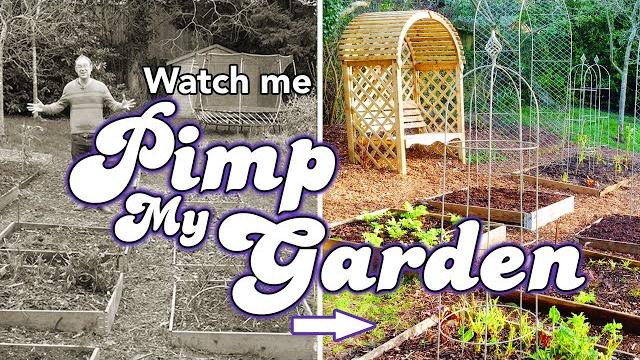 Dream backyard garden makeover: before and after! Dream backyard garden makeover: before and after!