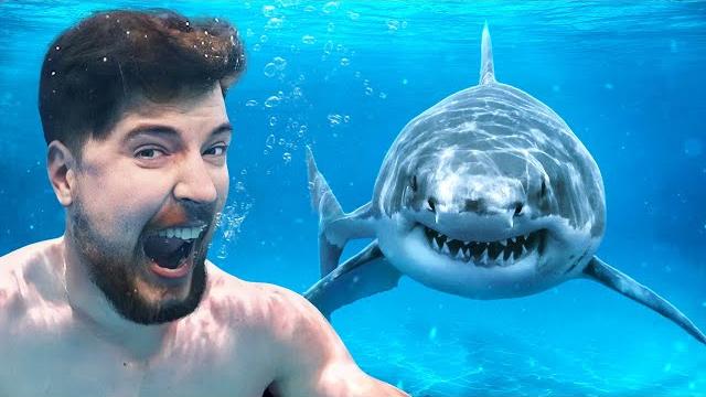 Would you swim with sharks for $100,000? Would you swim with sharks for $100,000?