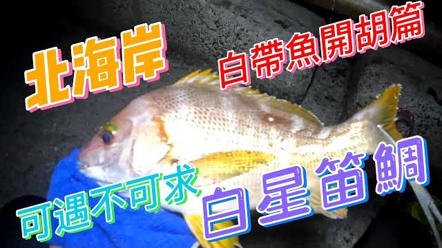 白星笛鯛 星點笛鯛 新郵票 高級魚種 富基漁港 可遇不可求 白帶魚 開胡 沉底 鐵板 路亞 軟蟲 破百訂閱福利 送 電子螢光棒 紅綠 喜歡我的視頻 感謝 訂閱 分享 按讚 開啟小鈴鐺 #游刃有魚 !! 白星笛鯛 星點笛鯛 新郵票 高級魚種 富基漁港 可遇不可求 白帶魚 開胡 沉底 鐵板 路亞 軟蟲 破百訂閱福利 送 電子螢光棒 紅綠 喜歡我的視頻 感謝 訂閱 分享 按讚 開啟小鈴鐺 #游刃有魚 !!